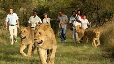 Les Saisons à Maurice