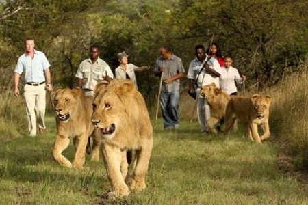 Les Saisons à Maurice